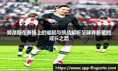 fh凤凰体育